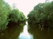 At the River. / ***