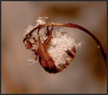 Basket with snowflakes! / ***