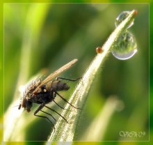 &nbsp; / no comments