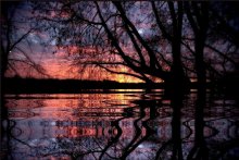 Zvenigorodsky Sonnenuntergänge ..... / ***