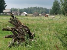 Summer in Logoisk area / ***