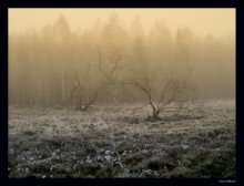 Frosty ... / ***