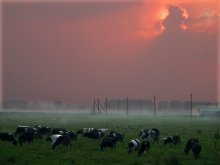 Rural Landscape / ***