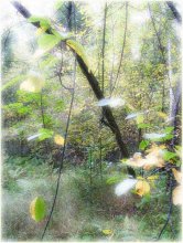 Autumn caprice / ***