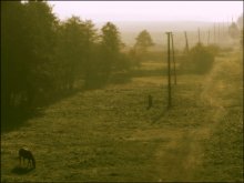 One morning in October / ***