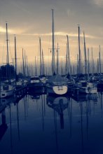 Pier / ***