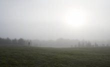 wayfarer / ***