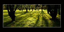 loshitsa_today / ***