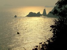 yellow sea / ***