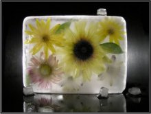 Flowers / ***