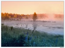 Foggy Morning ... / ***
