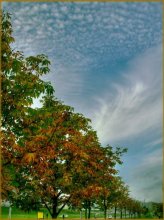 Mid Autumn / ***
