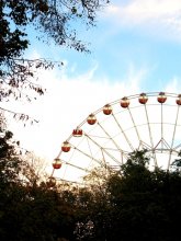 Autumn wheel / ***