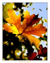 Autumn mood / ***