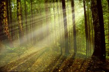 Magic of Light. / ***