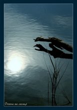 Auf der Jagd nach der Sonne / ***