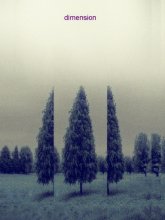 new dimension / ***