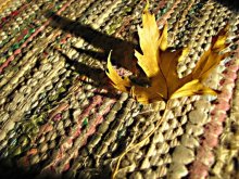 shadows fall / ***