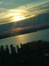 sun / ***