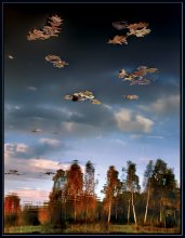 Autumn etude. Reflections / ***