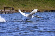 To take off! / ***