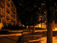 City / ***