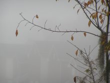 Houses in the mist / ***