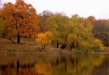 Fall colors / ***