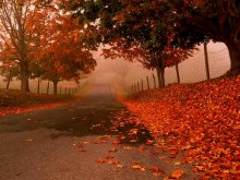 Autumn / ***