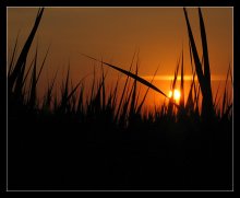 Classic sunset / ***