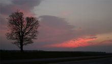 Torn sunset / ***