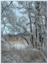 Winter came ... / ***