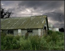 Live without a clock, no newspapers and no books. / ***