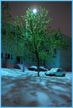Everything will be just as you want Winter / ***