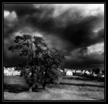 ... In search of black ... / ***