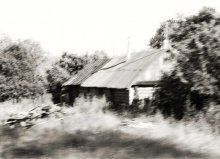 Movement Sleep / ***