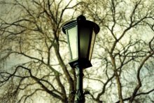 dendroidno - lamp / ***