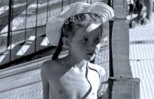 through the fence of the summer / ***