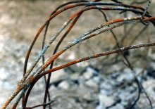 texture (1) / ***