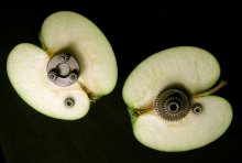 Two halves / ***