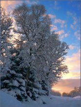 Once again, the winter .. / ***