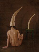 non-Euclidean geometry / ***