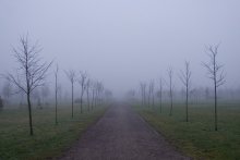 Nebel / ***