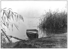 Boat in the Fog / ***