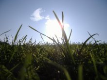 Closer to the ground ... / ***