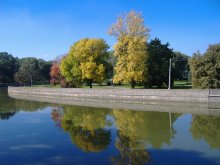 Autumn / ***