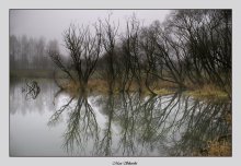 In Minsk ... bewölkt, Nebel / ***