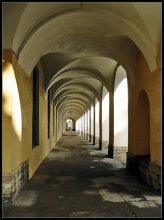 St. Petersburg gallery / ***