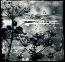 Sea ... we were promised - the sea ... / ***