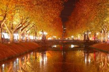 Autumn nochyu / ***